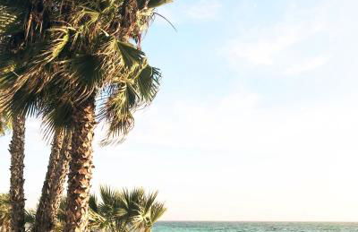 SEA SUITE Romantic Beachfront Apartment Cotobro Beach, Almuñecar - Photo 32