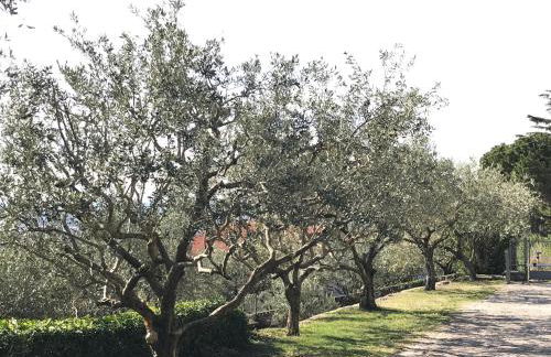 Valpolicella Hills - Foto 10