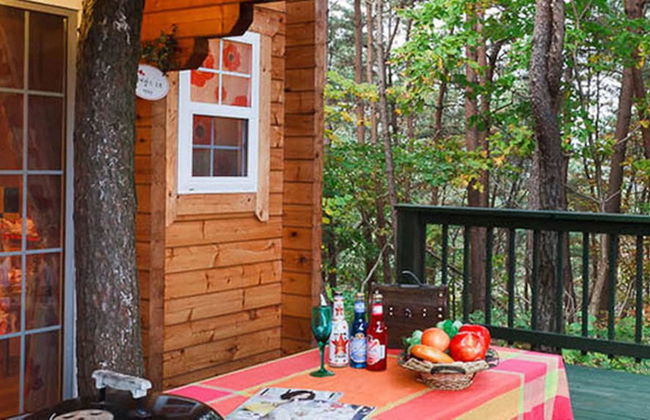 Castle of Magic Pension - Photo 58