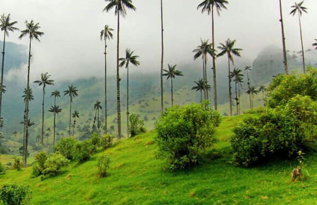 Apartahotel Jeronimos - Foto 42