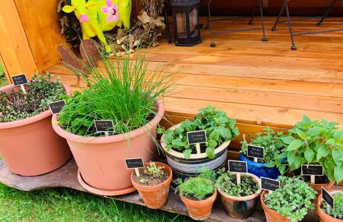 Irenes Tinyhouse - Foto 23