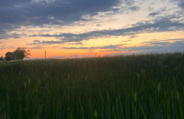 Grahl´s Ferienwohnung - Foto 47