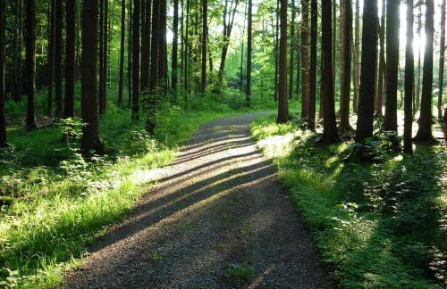 Idyll in Ammerseenähe mit Blick ins Grüne - Foto 29
