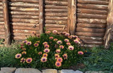 Villa Ohana - Photo 18