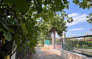 Vergia Coast - Foto 49