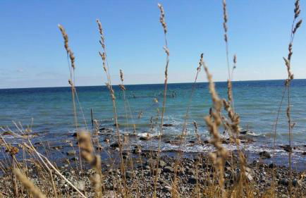 Apartment Leuchtturm 16 - Foto 50