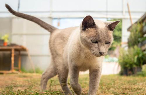 Naturena Agro-Turismo - Foto 41