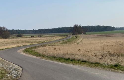 Schön möblierte Wohnung in Genthin/ OT Tucheim - Foto 21