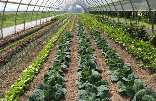 Agriturismo San Giuseppe - Foto 36