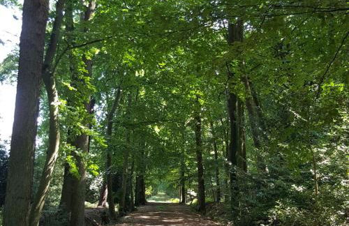 Pleasant Apartment in Ostbevern - Foto 33