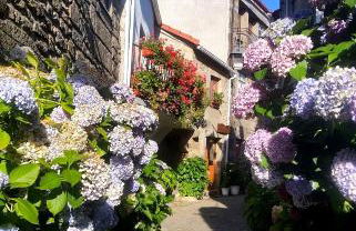 Burgo House - Foto 56