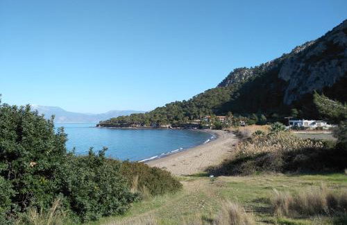 Palm tree house by the beach - Foto 55