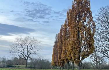 Ihr exklusiver Rückzugsort - Luxuriös wohnen - entspannen - Foto 20
