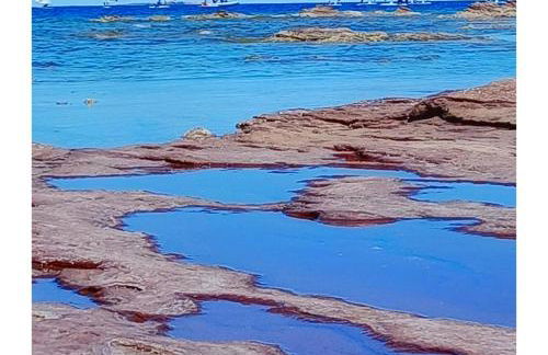 tommy house - Foto 52