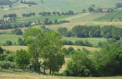 Il Giardino degli Ulivi - Foto 96