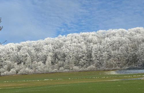 Ferienwohnung Schmalental - Foto 40