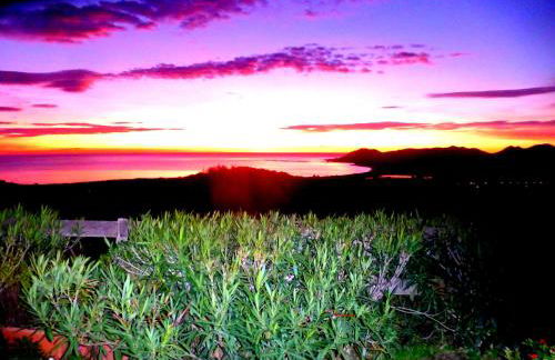 Comino Alto Agriturismo e Appartamenti - Foto 45