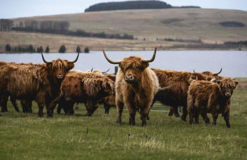 Carnethy Cabin - Foto 17