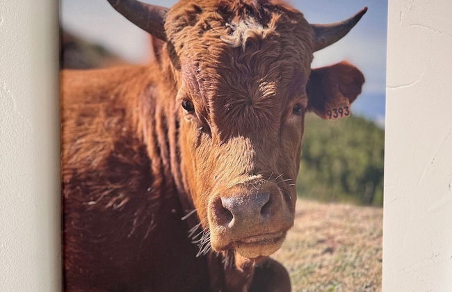 Shared Holiday in two Separate Flats - Foto 36