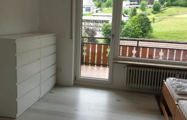 Haus am Sonnenberg,Todtnauberg, Ferienwohnung 105, direkt am Skilift-Skipiste, Nähe Feldberg - Foto 6