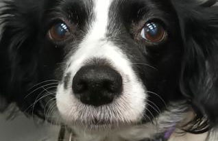 Alquilo habitación 24 euros por noche Super Top - Foto 10