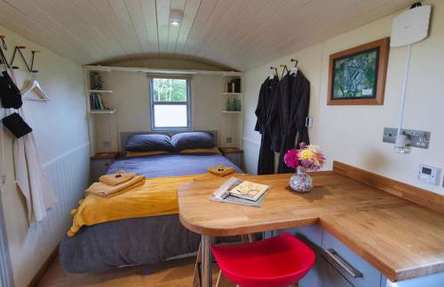 The Pheasant - Foto 9