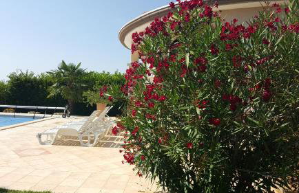 Villa Parenzo - Foto 10