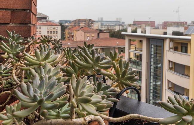 Mi-peri5a6 - Pericle 5 - Foto 27