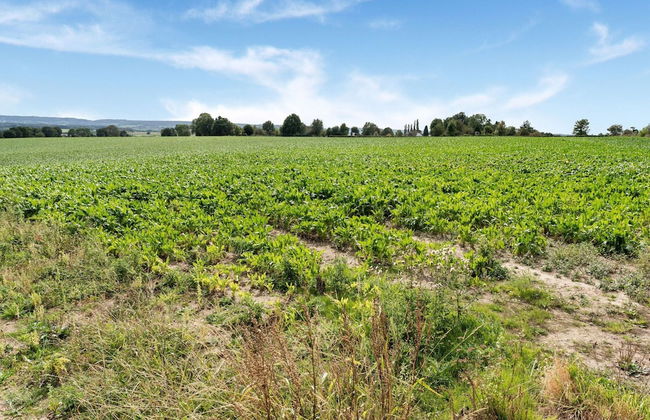 Holiday Home in Voerendaal With Terrace - Photo 39