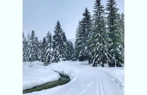 NONNA PINA Appartamento PUTTI - Photo 40