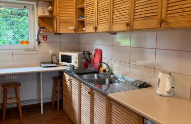 Farma Albert Korzenie - Foto 17