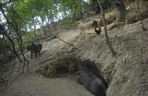 Agriturismo Biologico Villa Rosa - Photo 10