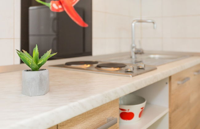 Studio Leon-Sara - Photo 10