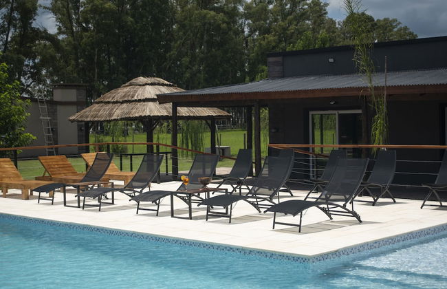 Olivos de Monte - Foto 40