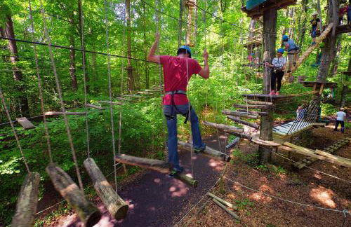 Apartment TraumSeeblick Immenstaad - Foto 30