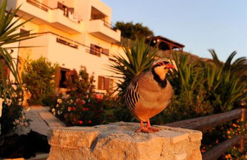 Kavousi Resort - Foto 26