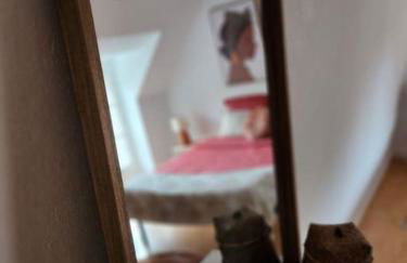 Gîte Animals King'Dôme 8min du Zoo de Beauval - Foto 39