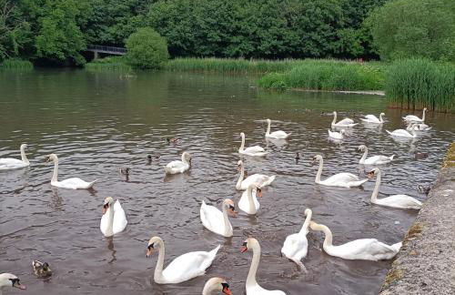 Melbourne Cottage - Foto 33