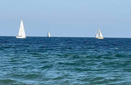 Schleibungalow Nr15 zw Ostsee und Schlei - Foto 29