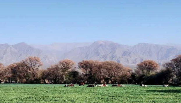 Paisajes de San José