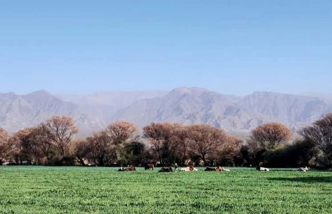 Excursión a San José + Taller artesanal - Foto 5