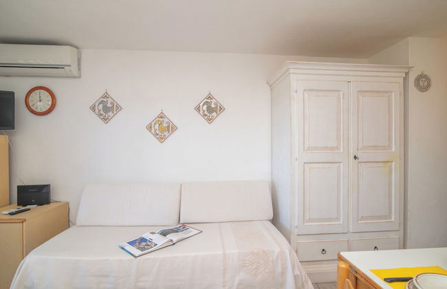 Mono Calamaro Eucalyptus 242 - Foto 9