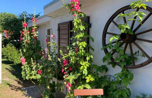 Haus Vicus - Foto 10