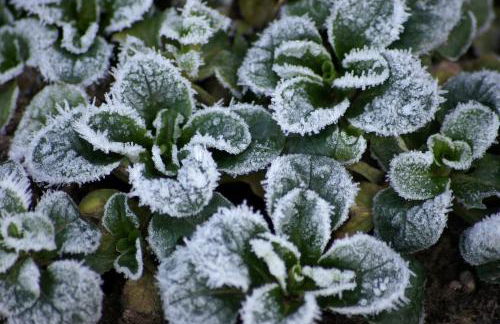 Schauenburgblick - Foto 20