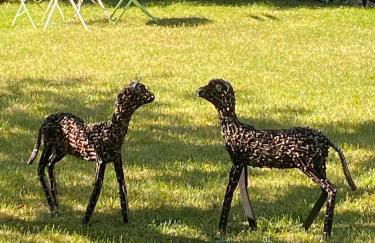 Domaine de Montanty - Foto 13