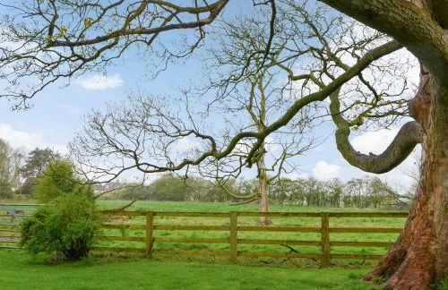 Farmers Cottage - Foto 19