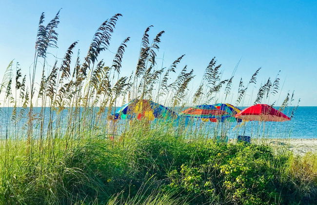 Sanibel Siesta on the Beach - Foto 45
