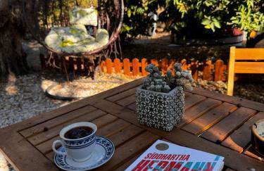 Sol's Place - Photo 19