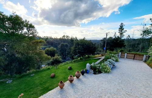 A Casa dos Avós - Alojamento Local - Foto 32