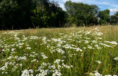 No 10 Vic Fezensac - Photo 25